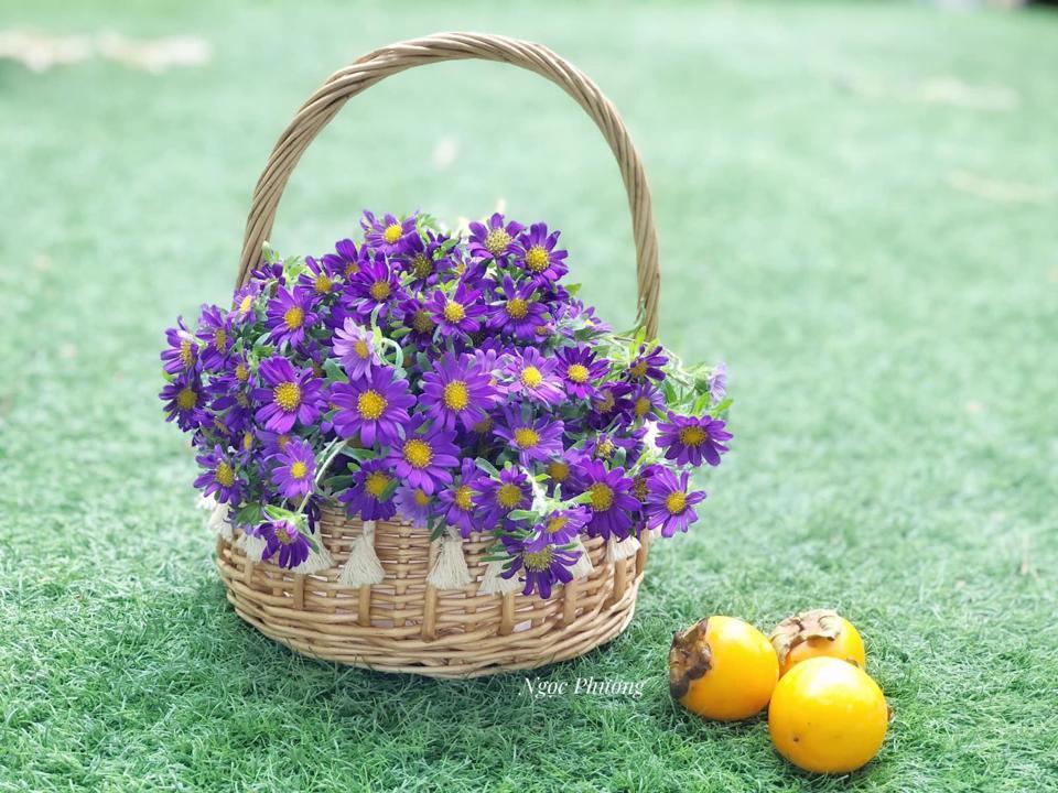 Tử vi hôm nay 14/3/2023 của 12 cung hoàng đạo - Ảnh 2