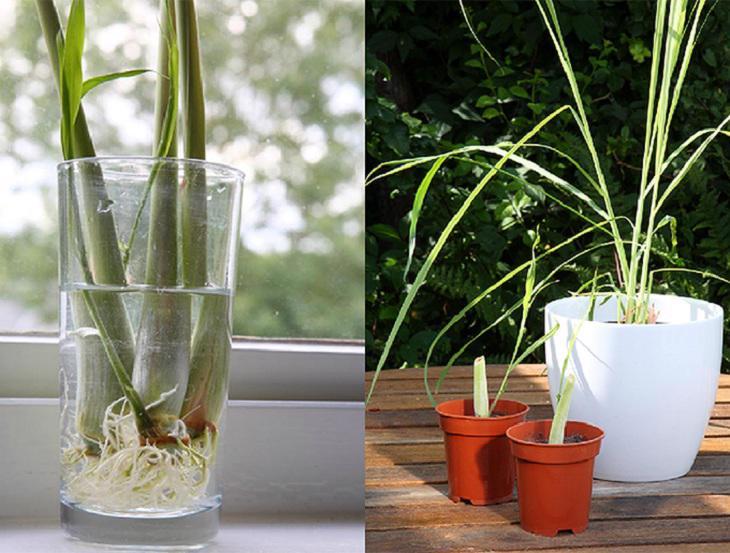 Ảnh minh họa. Nguồn ảnh: Internet