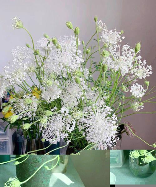 Tử vi hôm nay ngày 21/3/2023 của 12 cung hoàng đạo - Ảnh 2