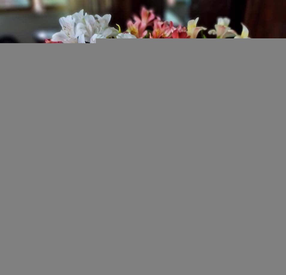 Tử vi hôm nay ngày 23/3/2023 của 12 cung hoàng đạo - Ảnh 1