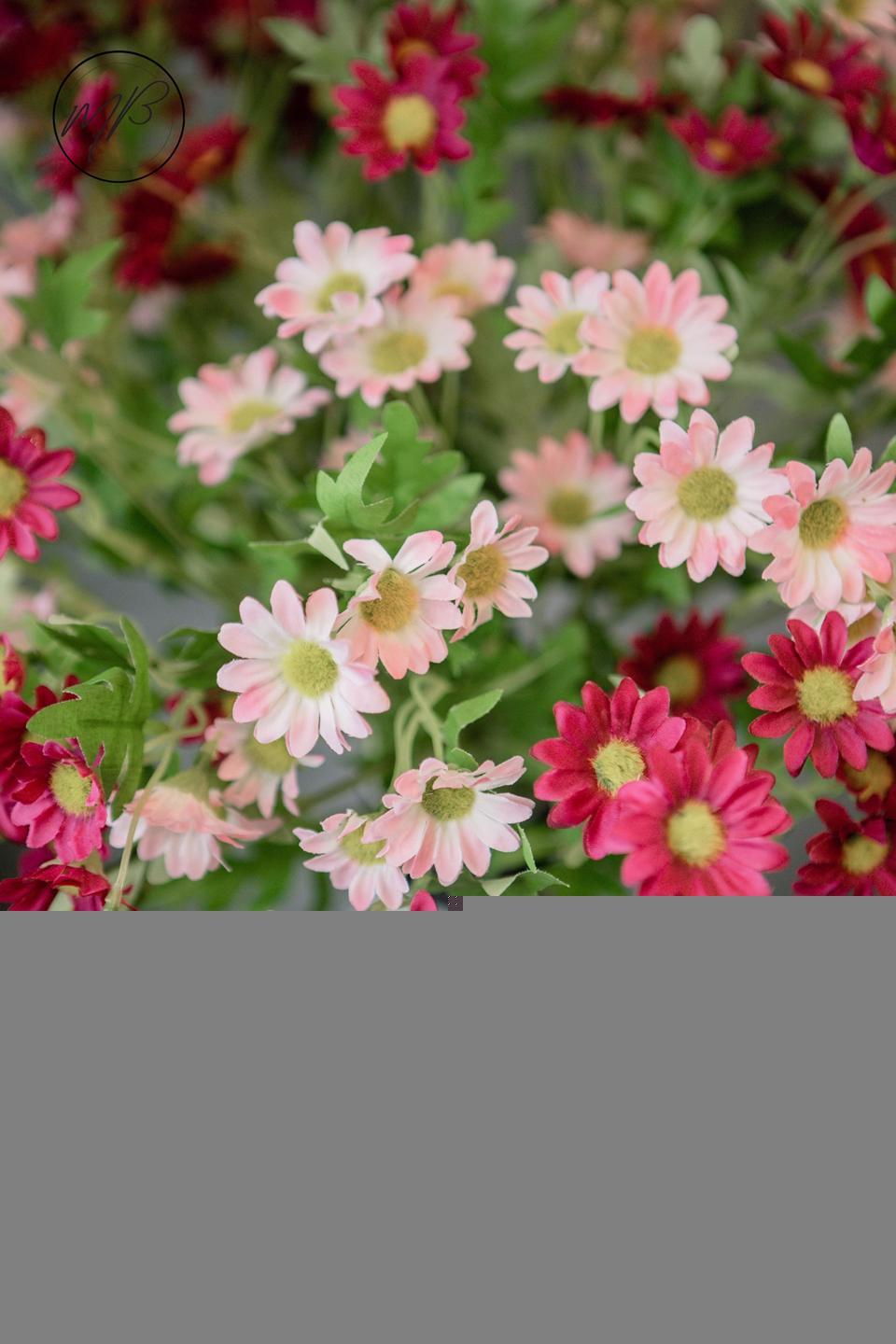 Tử vi hôm nay ngày 23/3/2023 của 12 cung hoàng đạo - Ảnh 2