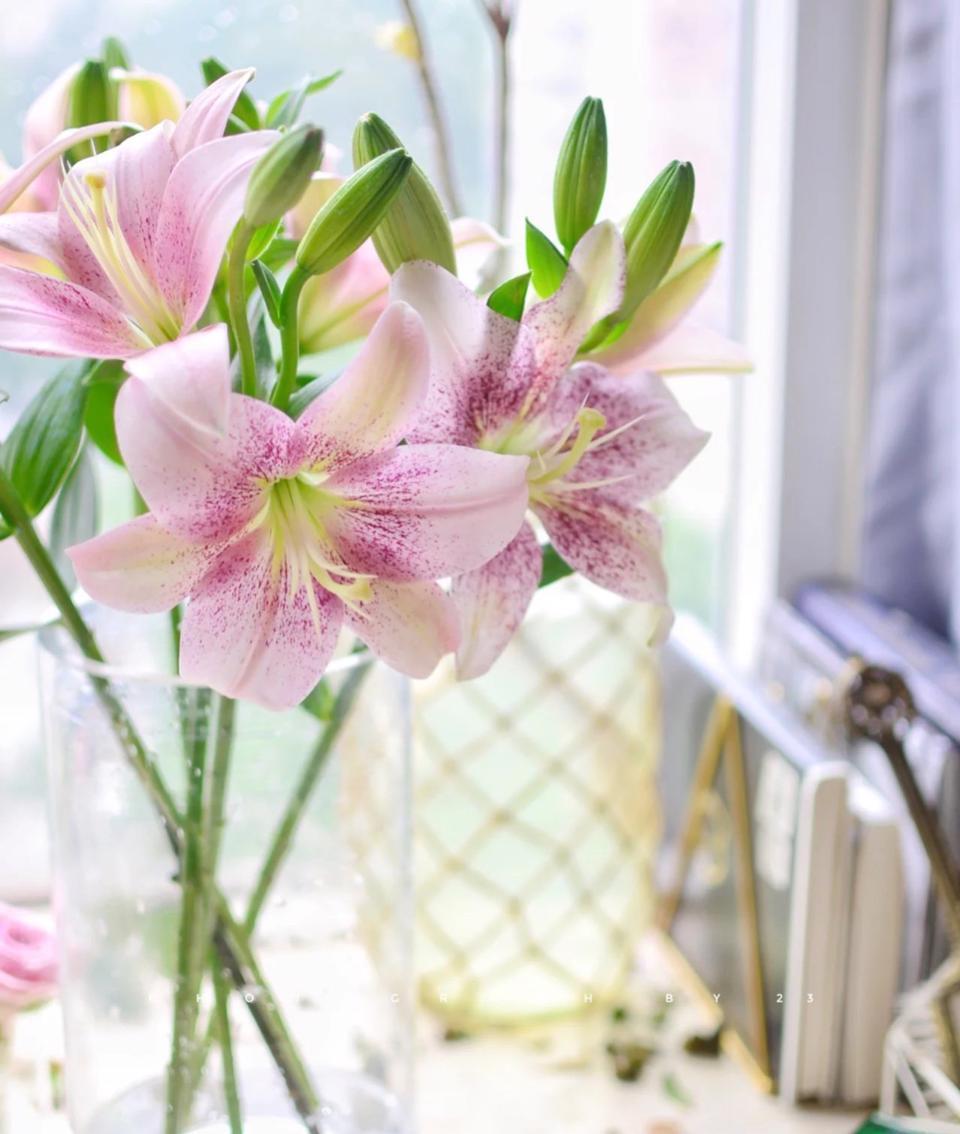 Tử vi hôm nay ngày 24/3/2023 của 12 cung hoàng đạo - Ảnh 2