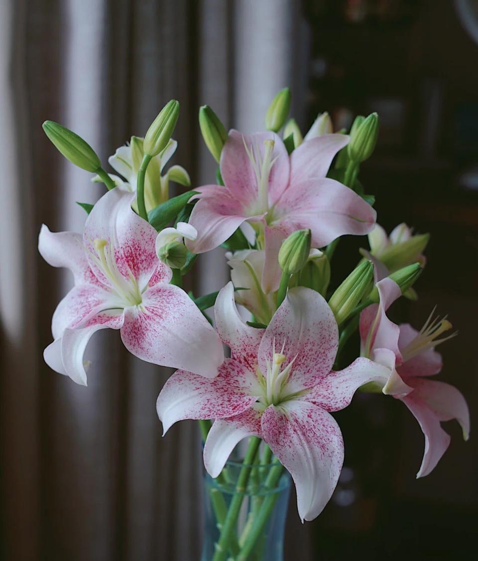 Tử vi hôm nay ngày 24/3/2023 của 12 cung hoàng đạo - Ảnh 1