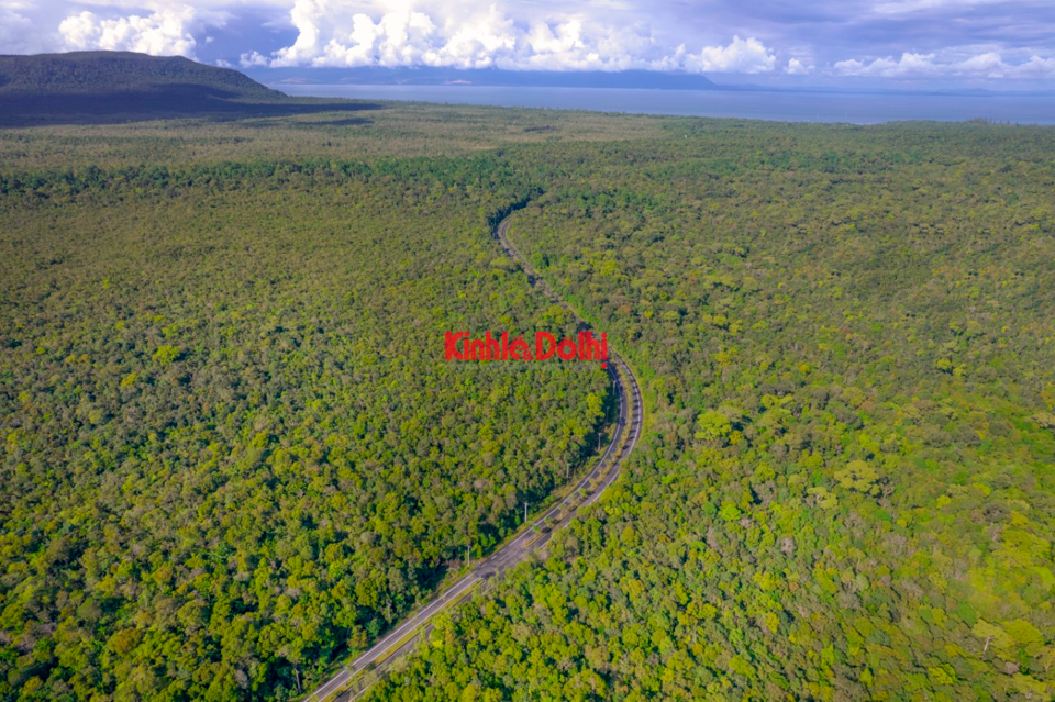 Rừng quốc gia Phú Quốc nơi đang ẩn chứa những điều huyền bí, lý thú khi đến tham quan tại đây. Ảnh Hữu Tuấn