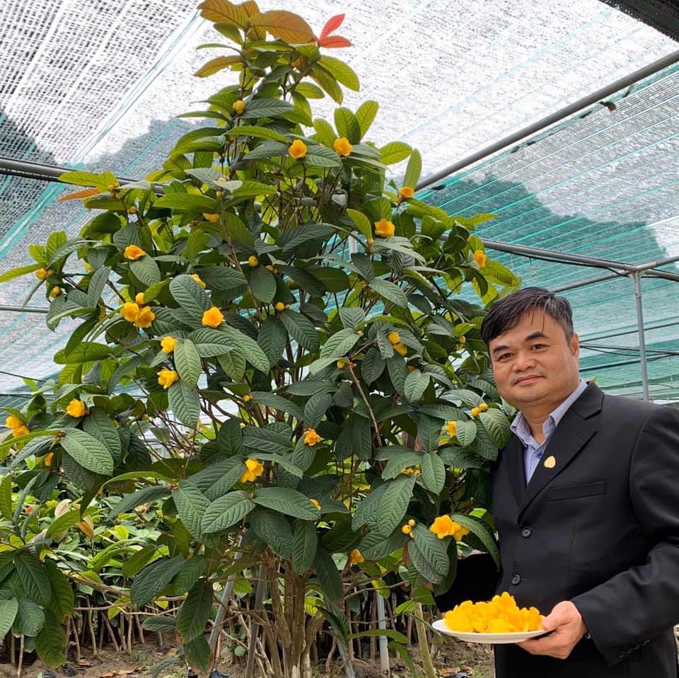 “Tôi có thể khẳng định trà hoa vàng Cúc Phương, Ba Vì là những loài chịu nắng, chịu hạn, có sức sinh trưởng tốt hơn so với các loài trà hoa vàng khác của Việt Nam