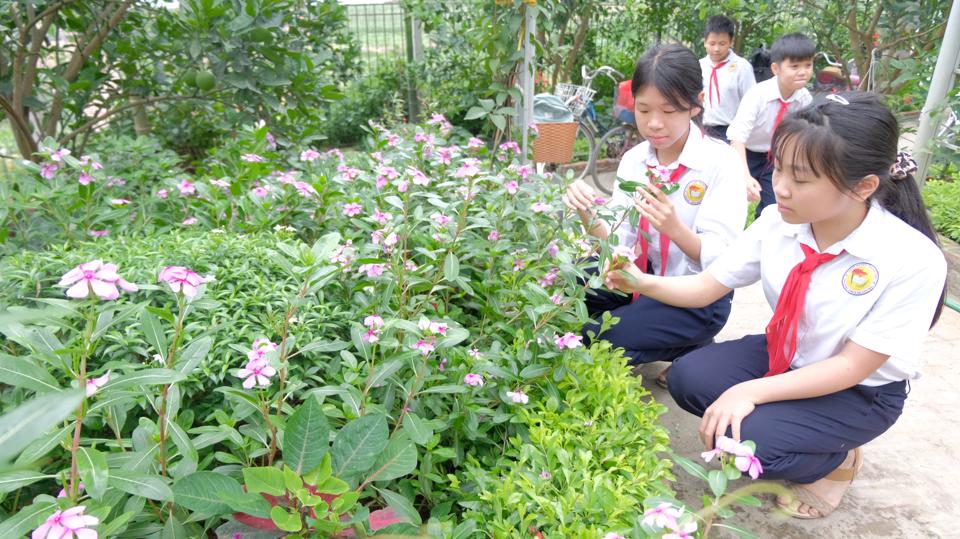 Địa phương đang kỳ vọng phát triển xã Duyên Hà thành một điểm du lịch nông thôn. Trong đó, Thư viện Mạnh An có thể là một điểm đến tham quan trong hành trình du lịch cộng đồng.