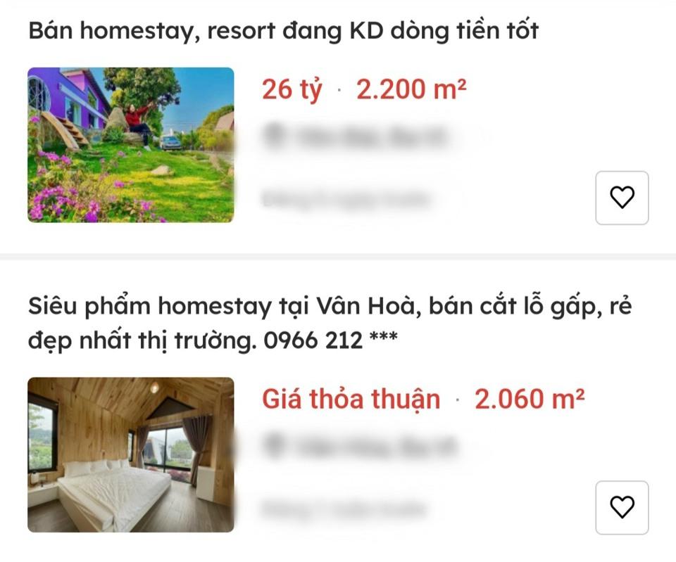 Phân khúc nghỉ dưỡng homestay tại huyện Ba Vì (Hà Nội) bất ngờ được nhiều nhà đầu tư ồ ạt bán tháo với mức giá hàng tỉ đến hàng chục tỉ đồng. Ảnh: Chụp màn hình