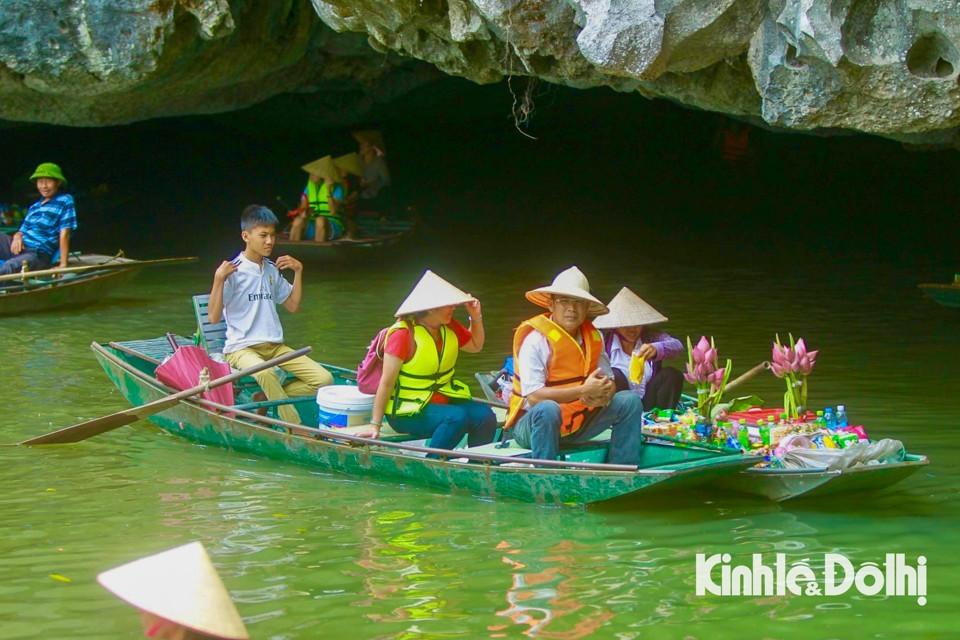 Mùa lùa chín vàng Tam Cốc đã trở thành điểm đến hấp dẫn đối với du khách trong nước và quốc tế.