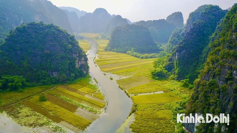 Cánh đồng lúa ở Tam Cốc được thiên tạo dọc theo hai bên bờ sông Ngô Đồng, bao quanh là những dãy núi đá vôi trùng điệp. Hiếm có cánh đồng lúa nào có vẻ đẹp thiên nhiên, hùng vĩ như Tam Cốc.