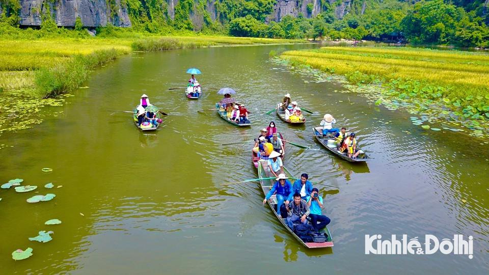 Xuôi theo dòng sông Ngô Đồng uốn lượn qua những khe núi, du khách sẽ được chiêm ngưỡng bức tranh phong cảnh tuyệt đẹp với sắc vàng rực của lúa chín.