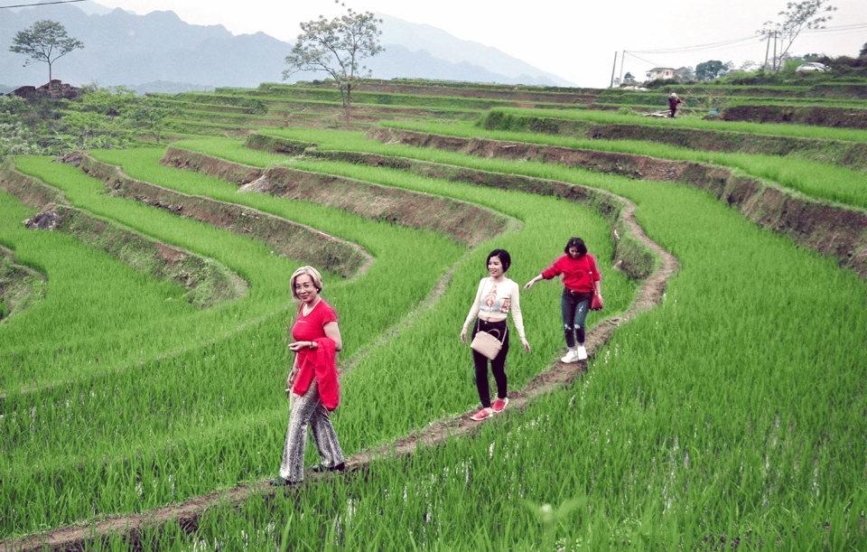 Khách du lịch tham quan trải nghiệm ruộng bậc thang tại khu du lịch Pù Luông (Thanh Hóa). Ảnh: Hoài Nam