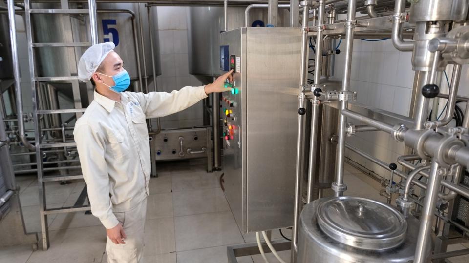 Dây chuyền chế biến sữa của Hợp tác xã Chế biến sữa bò Phù Đổng (huyện Gia Lâm). Ảnh: Lâm Nguyễn