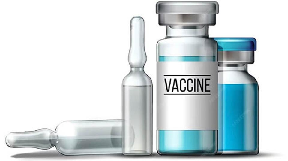 Không tiêm vaccine phòng dại khi bị chó, mèo cắn khiến nhiều trường hợp tử vong đáng tiếc (Ảnh minh họa. Nguồn: Internet)