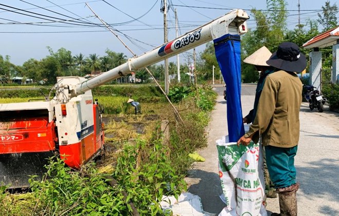 119 Hợp tác xã tại Quảng Nam lay lắt chờ giải thể