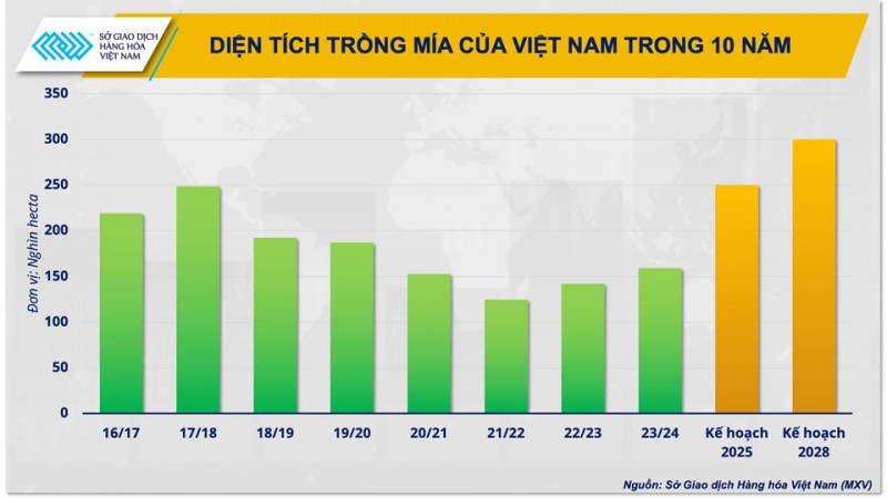 Giá đường năm 2024 khó lập đỉnh, phục hồi vùng nguyên liệu như thế nào?