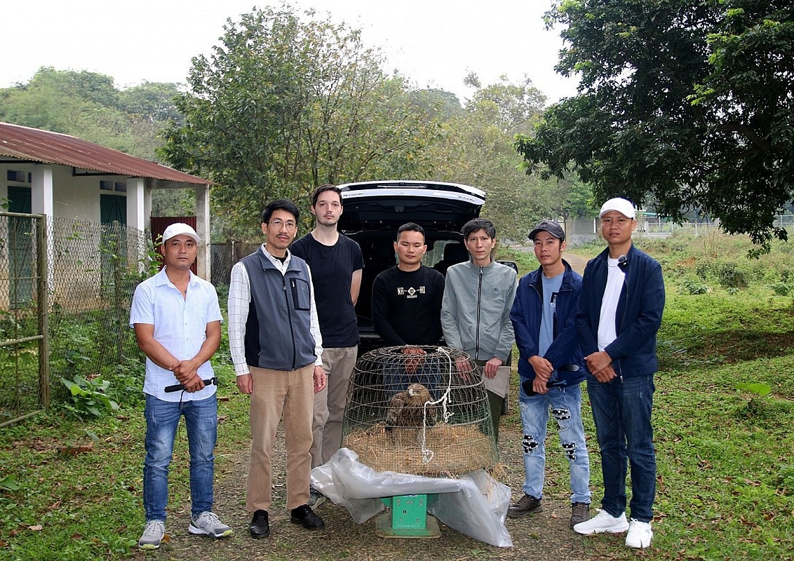 Vượt hàng trăm cây số bàn giao động vật quý hiếm cho Vườn quốc gia Cúc Phương