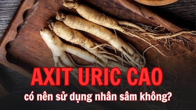 Người có axit uric cao có nên sử dụng nhân sâm để bồi bổ sức khỏe không?