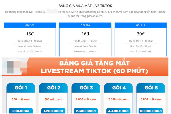 Rất nhiều đơn vị cung cấp dịch vụ mắt xem ảo livestream Tiktok. Ảnh: Chụp màn hình