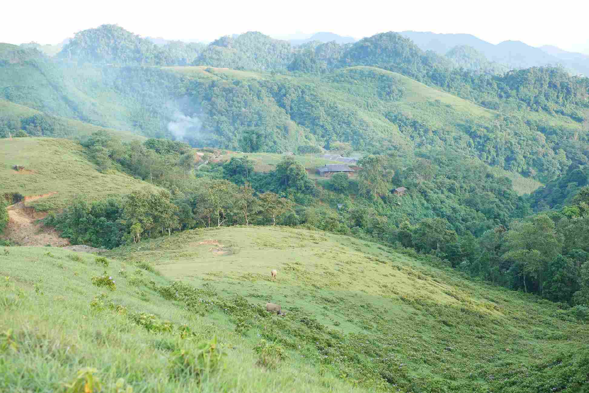 Vẻ đẹp thanh bình, hoang sơ và trữ tình của thảo nguyên Sam Chiêm còn đến từ không gian trời xanh, mây trắng bao la. Phía xa xa là con trâu, con bò thong thả ăn cỏ cạnh những làn khói lơ thơ bay lên từ mái nhà đơn sơ của bà con địa phương.