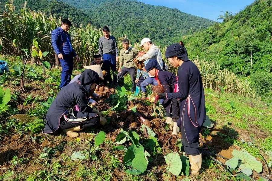 Lào Cai: Chuyển đổi từ 'sản xuất nông nghiêp' sang 'kinh tế nông nghiệp'