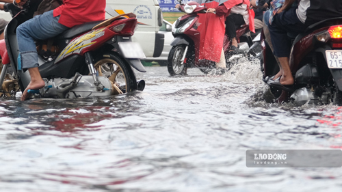 Do ảnh hưởng của mưa và triều cường một số tuyến đường TP Cần Thơ ngập sâu. Ảnh: Bích Ngọc.