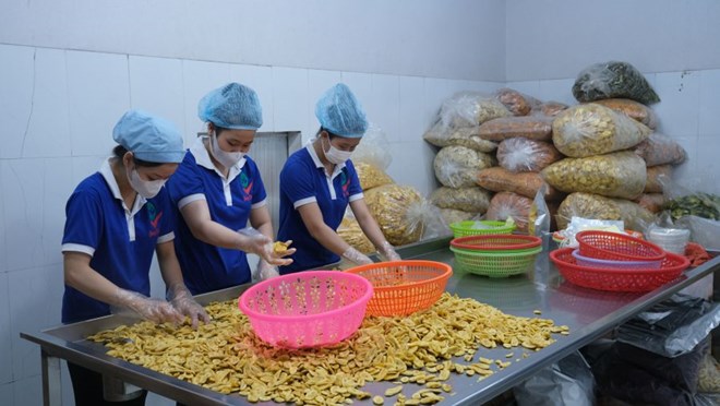 Đồng Tháp tăng cường định hướng, giúp người lao động khởi nghiệp