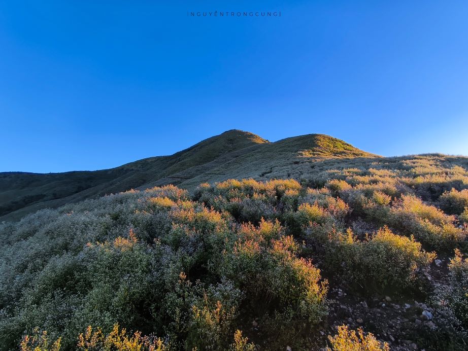 Đến du lịch Tà Chí Nhù, du khách cũng cần lưu ý một số điểm như thuê porter (người dẫn đường) tại địa phương để tránh bị lạc và có trải nghiệm tốt nhất.