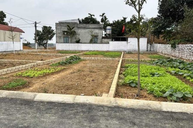 Vỡ mộng bỏ tiền tỉ vào đất nền Hà Nội mong làm giàu nhanh