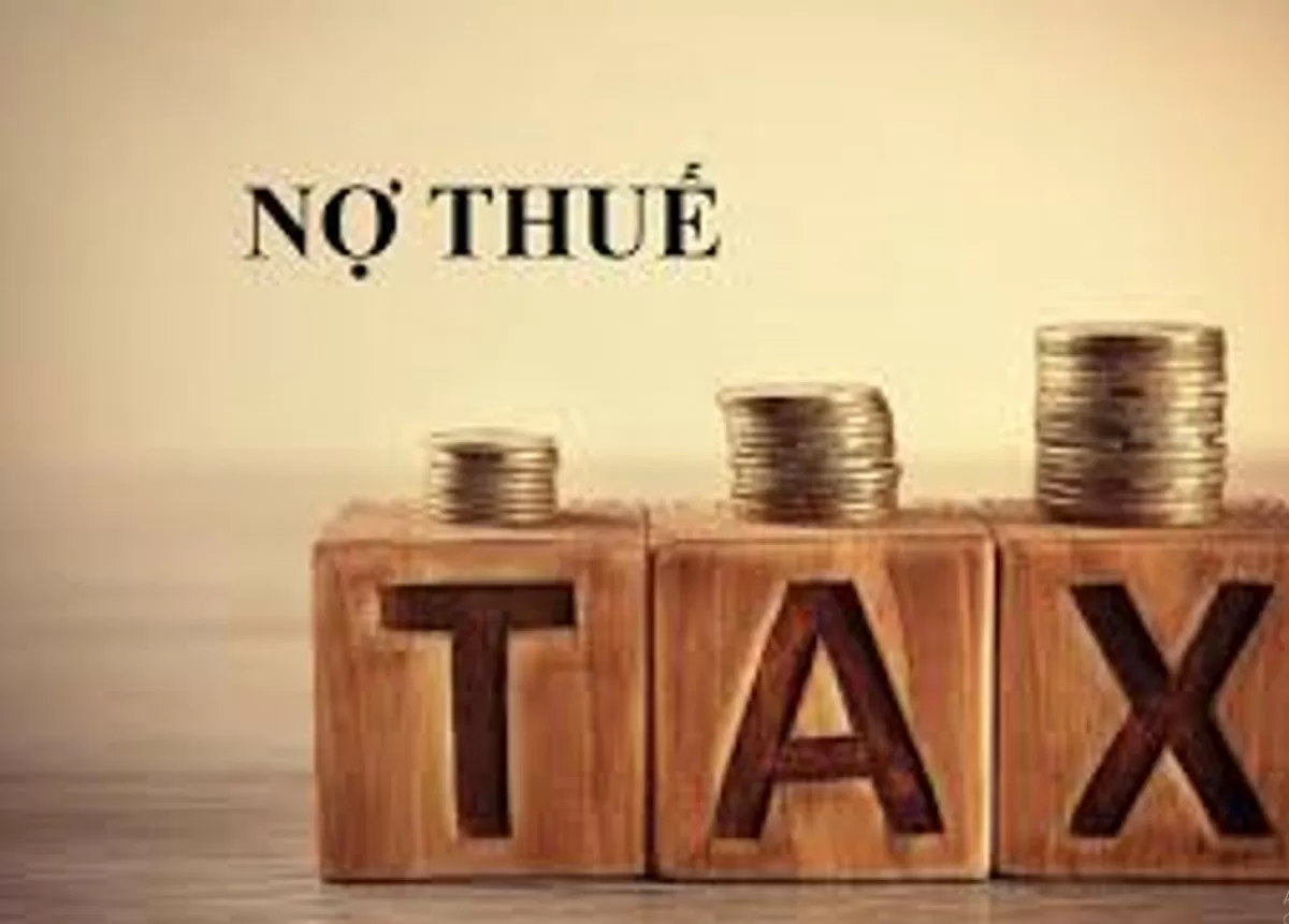 Vĩnh Long: Công ty Cổ phần cảng Bình Minh nợ thuế hơn 36 tỷ đồng