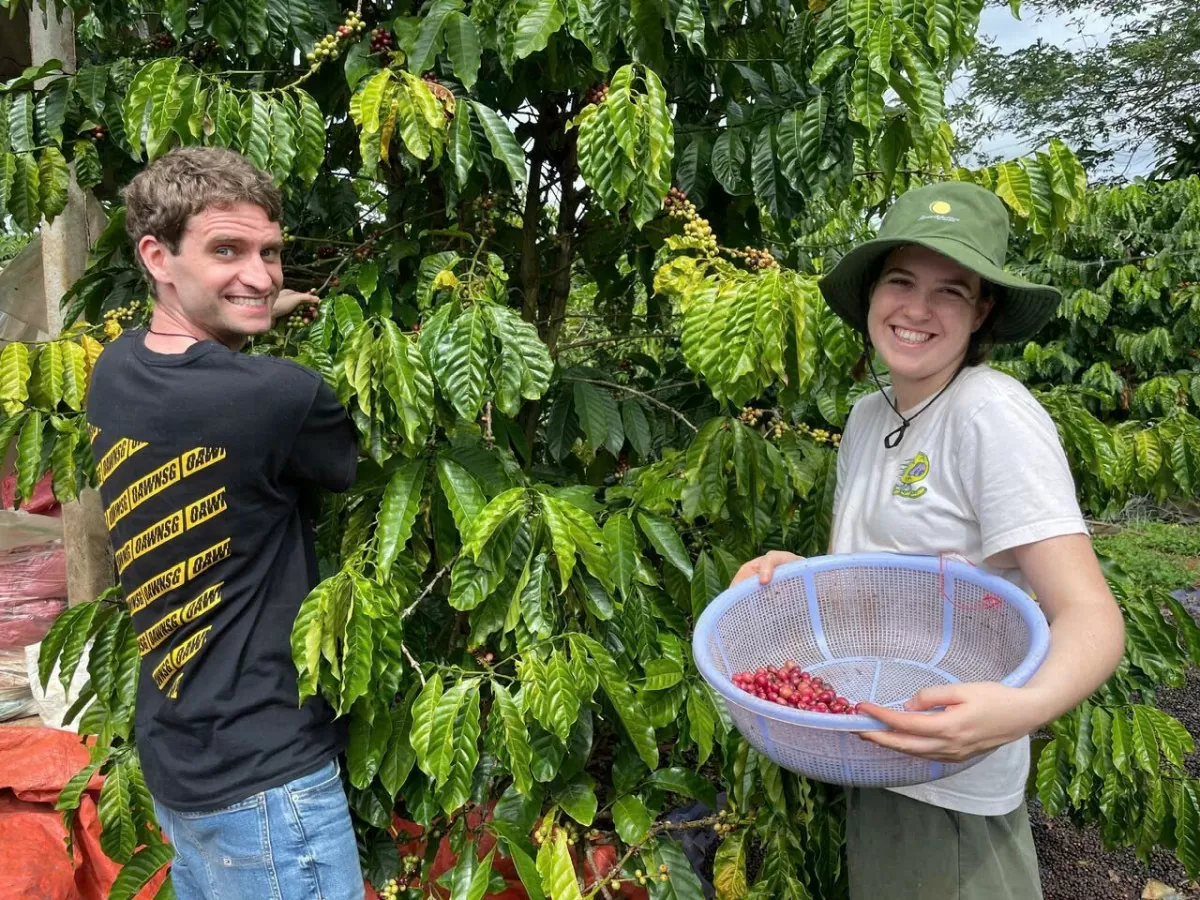 Giá cà phê hôm nay 23/12/2024: Giá cà phê Giá cà phê hôm nay 23/12/2024: Giá cà phê