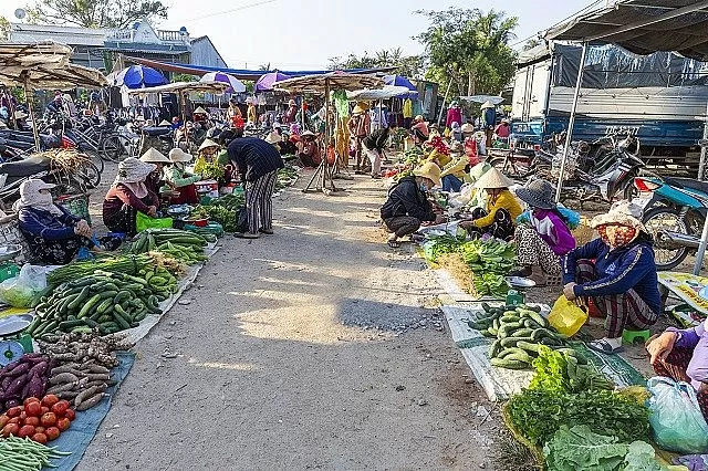 Bình Định bắc nhịp cầu tiêu thụ nông sản vùng cao