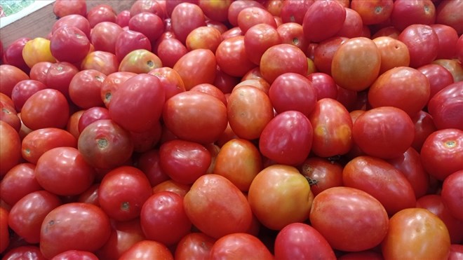 3 thực phẩm giàu chất chống oxy hóa tốt cho người sau 50 tuổi