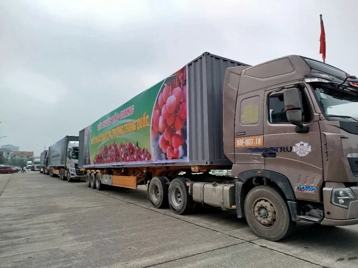 Bắc Giang: Xúc tiến tiêu thụ vải thiều và sản phẩm OCOP Bắc Giang: Xúc tiến tiêu thụ vải thiều và sản phẩm OCOP