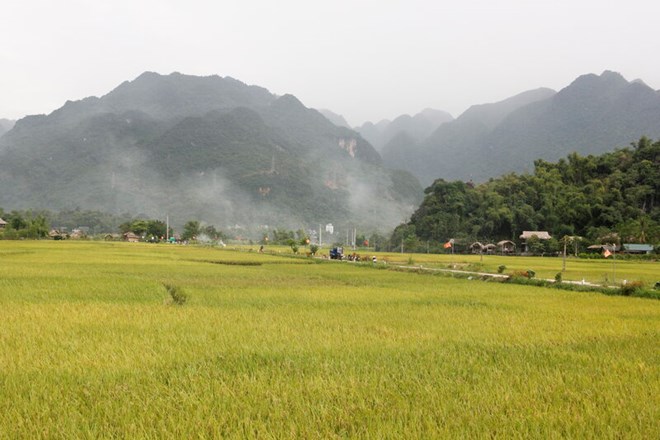 Chính sách đất đai mới tạo nhiều thuận lợi cho nông dân có đất nông nghiệp