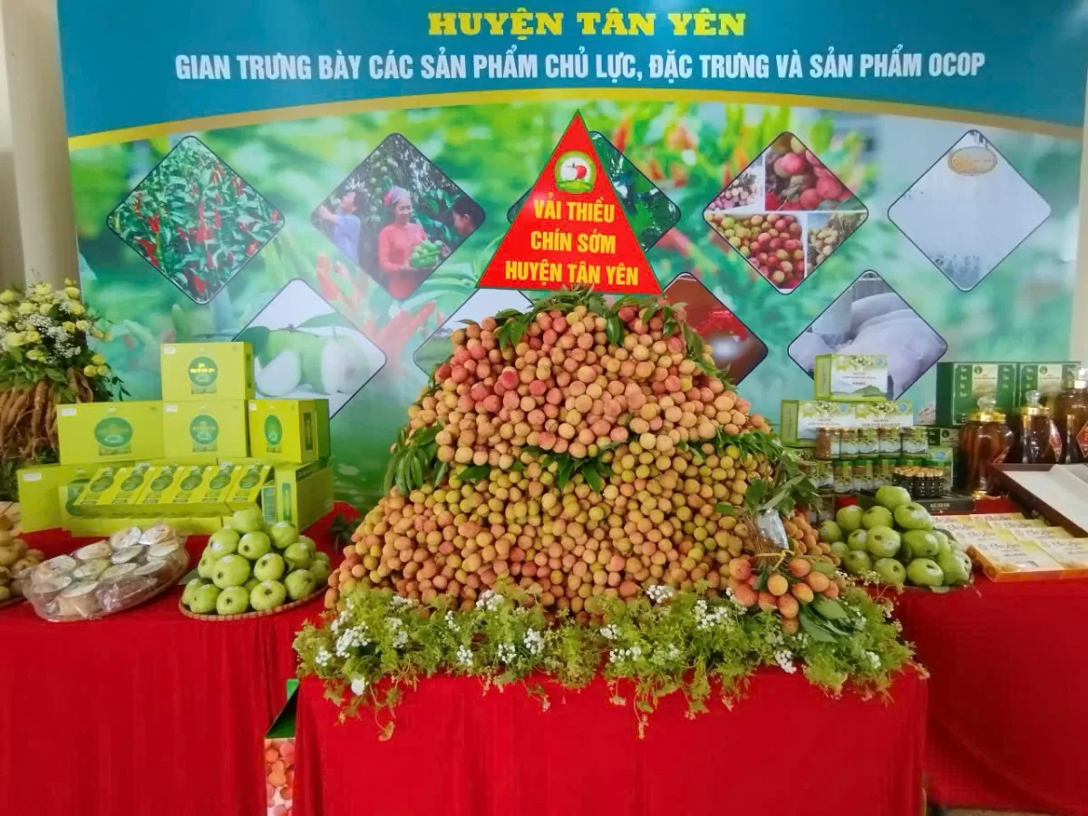 Bắc Giang: Xúc tiến tiêu thụ vải thiều và sản phẩm OCOP Bắc Giang: Xúc tiến tiêu thụ vải thiều và sản phẩm OCOP