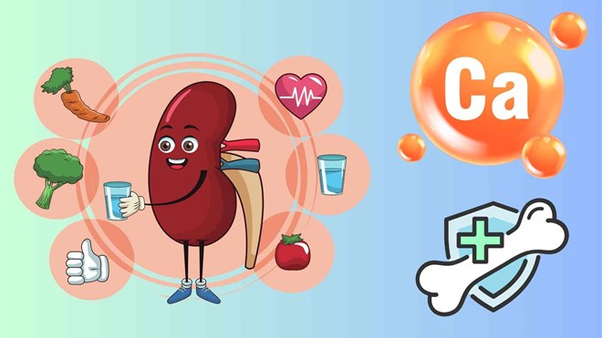 Nguyên tắc vàng sử dụng canxi để tránh tạo sỏi thận