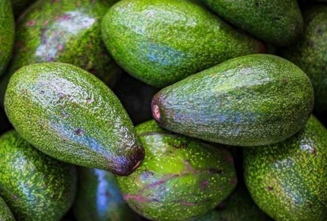 Cách ăn bơ giúp tăng chức năng gan