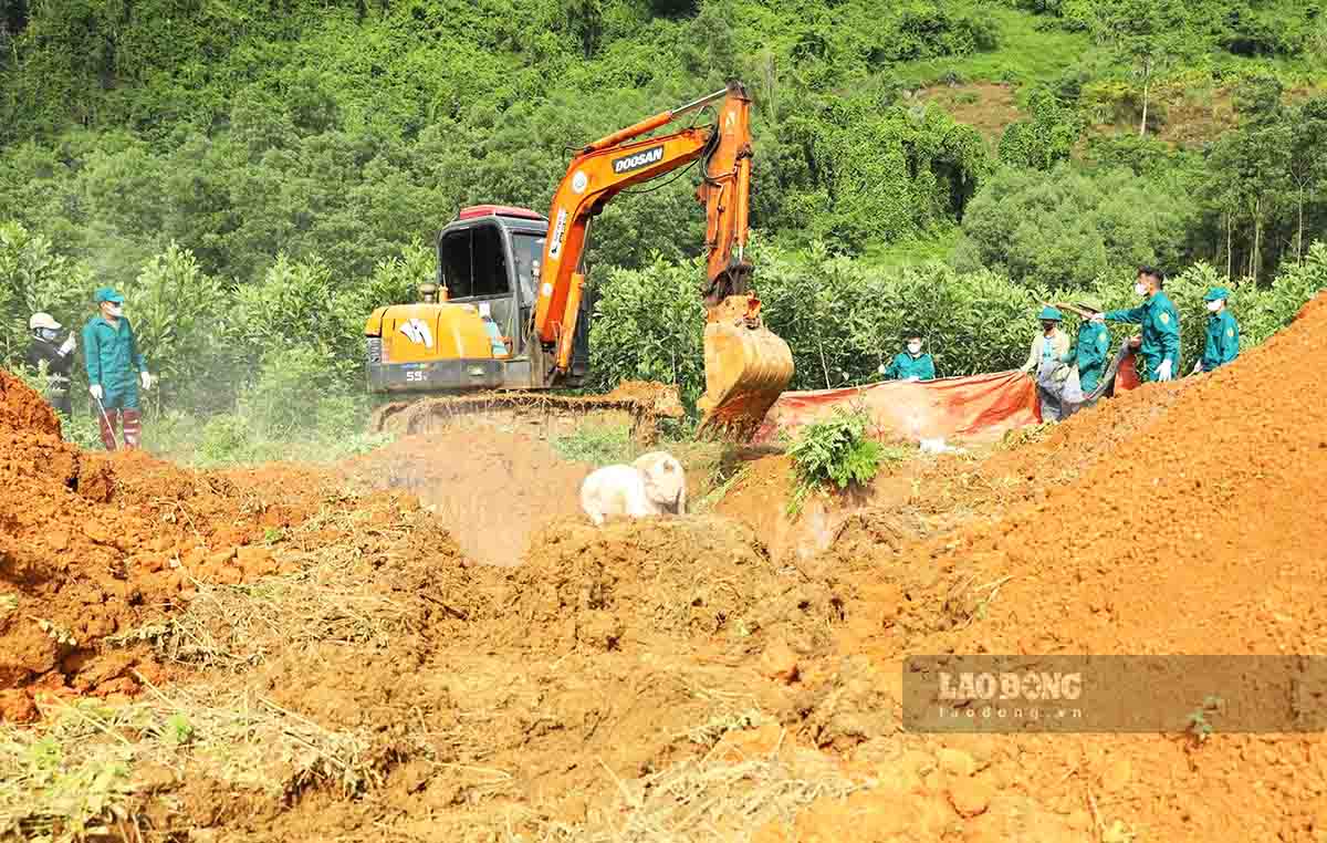 Các địa phương tiến hành tiêu hủy lợn mắc bệnh dịch tả lợn châu Phi. Ảnh: Việt Bắc.