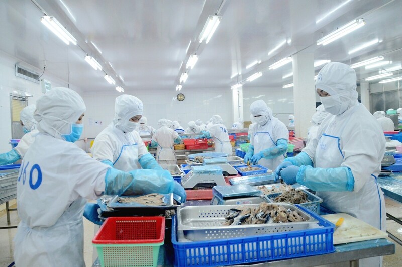 Doanh nghiệp nhỏ và vừa vẫn chưa chủ động tìm hiểu, thực thi các cam kết trong EVFTA. Ảnh: Minh Thắng