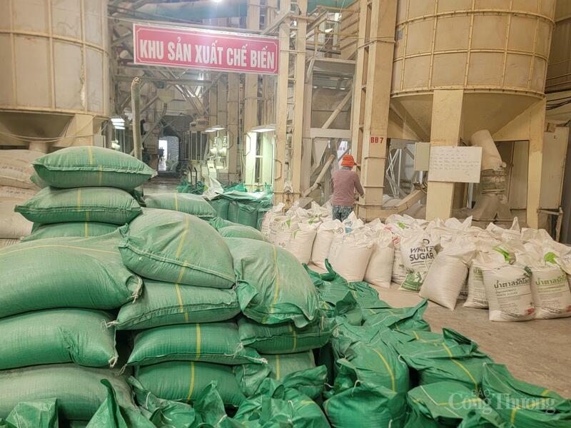 Cần Thơ đang ghi nhận nhiều tín hiệu tích cực trong hoạt động xuất khẩu gạo