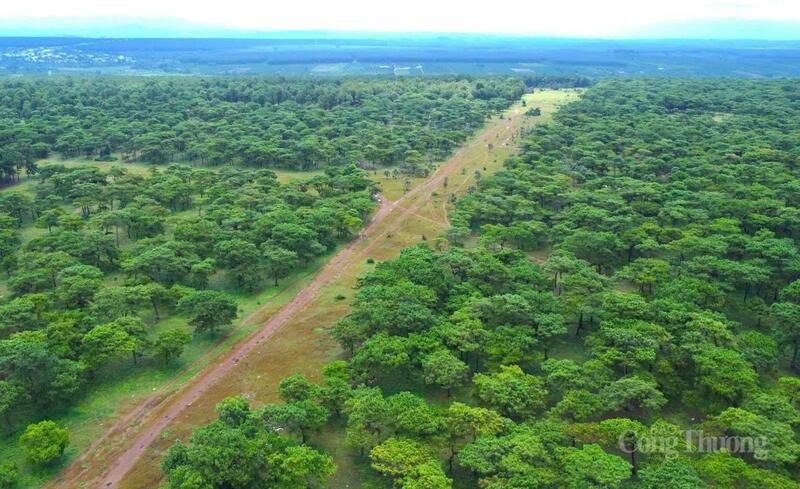 Khu vực triển khai Dự án tổ hợp biệt thự nghỉ dưỡng, khách sạn, trung tâm hội nghị (Dự án sân golf Đak Đoa)