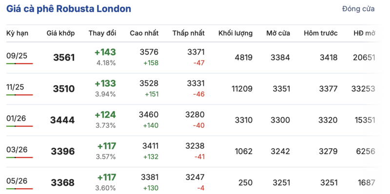 Giá cà phê được cập nhật trên sàn London sáng ngày 11/8/2025