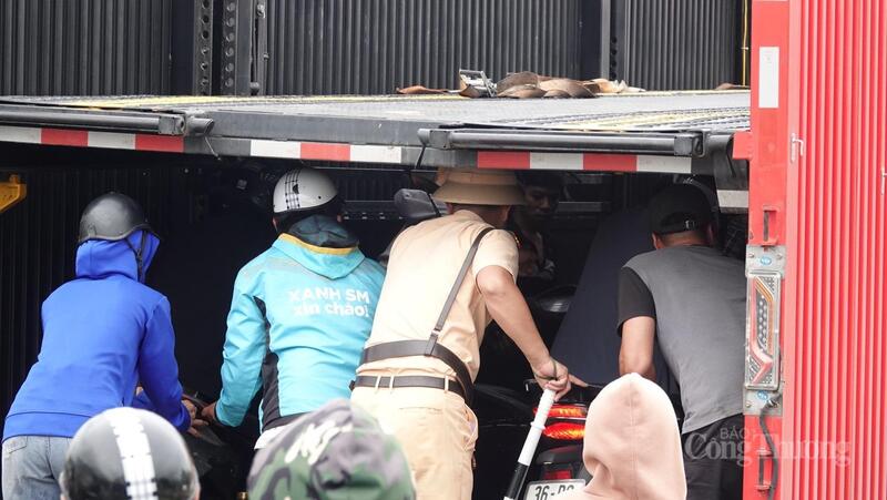 Hàng chục chiếc xe được đưa lên xe tải
