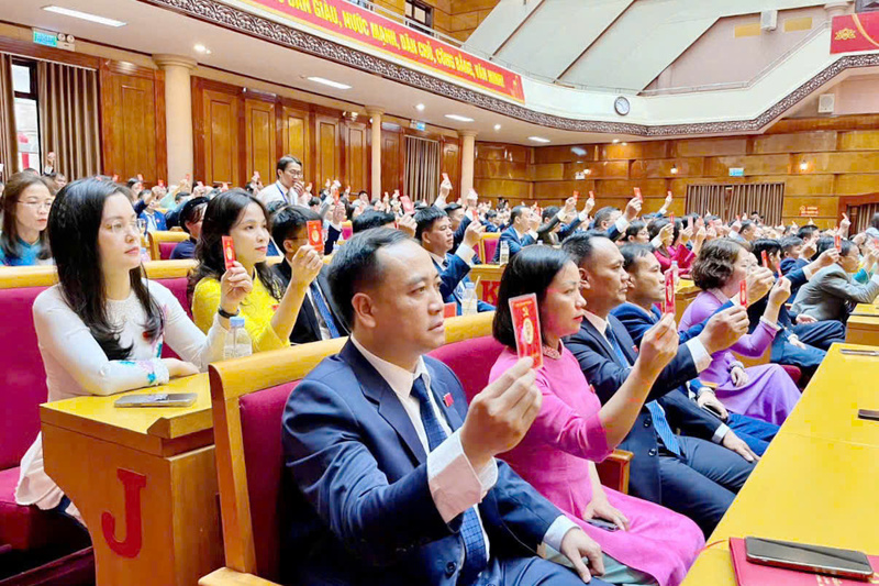 Các đại biểu biểu quyết thông qua Nghị quyết Đại hội.