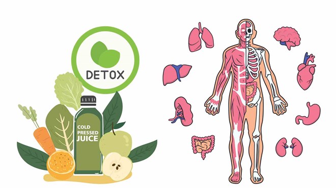 Thời điểm tốt nhất để giải độc các cơ quan nội tạng