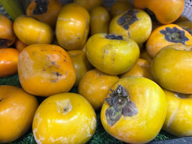 Thải độc cơ thể hiệu quả bằng 6 lời khuyên dễ thực hiện hằng ngày