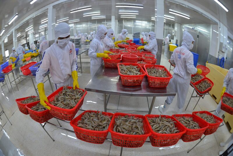 Thủy sản - nhóm hàng xuất khẩu chủ lực của Việt Nam sang Israel. Ảnh: Minh Thắng