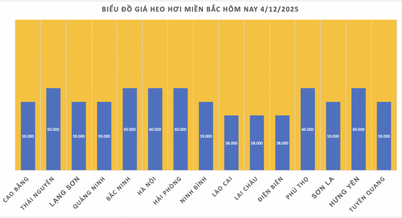 Giá heo hơi hôm nay 4/12/2025: Miền Bắc chạm mốc 60.000 đồng/kg - 1