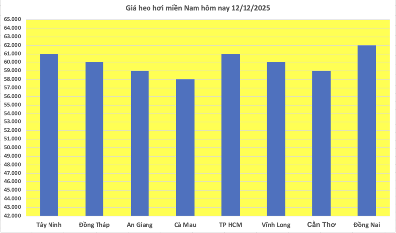 Giá heo hơi hôm nay 12/12/2025: Tăng đồng loạt, lập đỉnh mới - 3