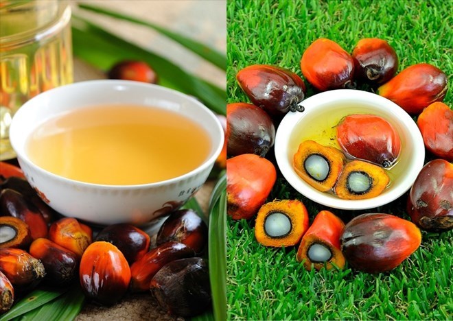 4 lầm tưởng phổ biến về dầu cọ